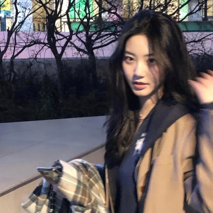 加州圣诞:旧金山的灯光海报